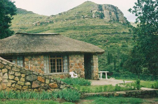 cot3_510x336.jpg