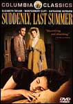 The summer