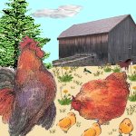 barnyard