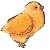 chick