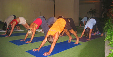 Group downward facing dog posture