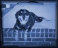 Miss Daisy