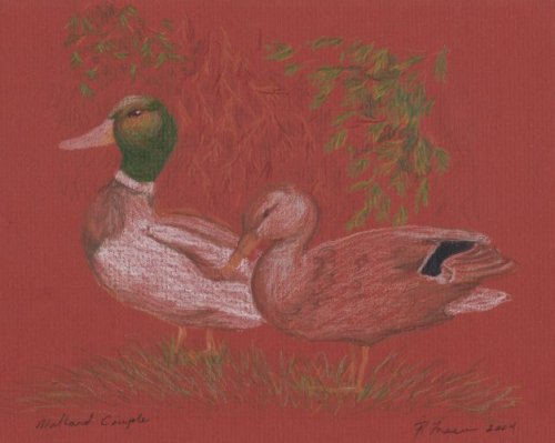 The Ducks
