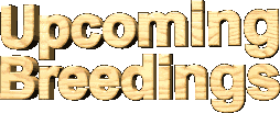 Upcoming Breedings