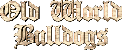 Old World American Bulldogs