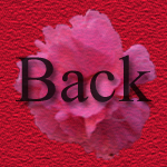 Back button