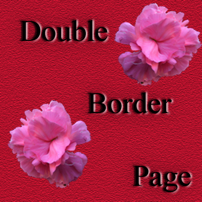 Pink Carnations