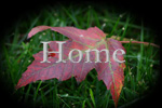 Home