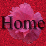 Home Button