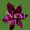 Next