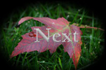 Next