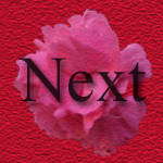 Next Buttone