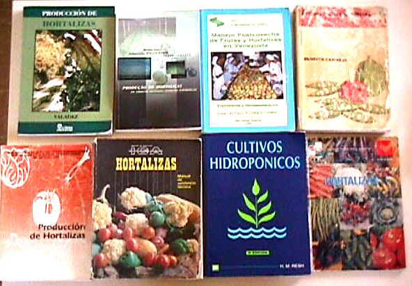 Fotos de las portadas de los libros m�s usados en la materia.