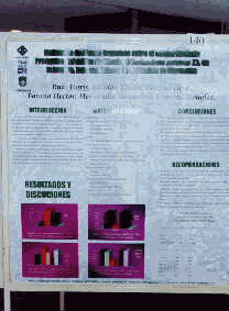 Poster de trabajos de investigaci�n presentados en la reunion interamericana de horticultura.