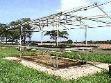 Sistema de alta tecnolog�a para la producci�n de plantula. (Granja Ana Mar�a Campos)