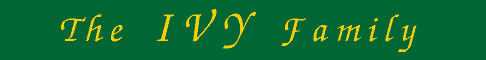 Image of ivy.gif