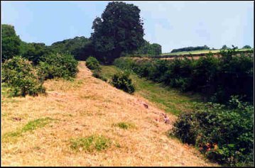 Old Canal Bed, Cinder Hill (M Redfern)