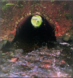 Aqueduct tunnel near Gracedieu Priory,1999(MA Redfern)
