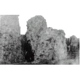 Ann Petty's weird photograph