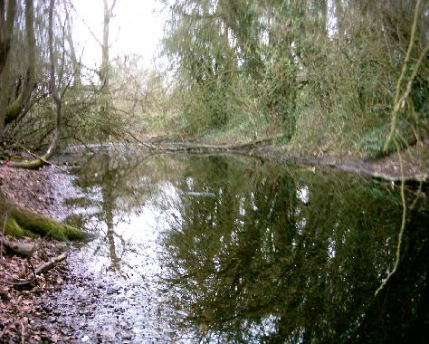 Section of Canal at Snells Nook, Mar 2004 (c)S Powell