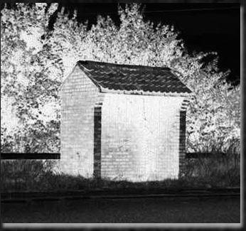  The Bus Stop at Gracedieu (M Redfern)