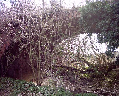 Thompsons Bridge, (S Powell,2004)