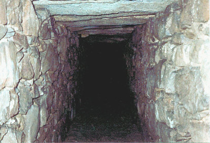 Section of Tunnel(Gracedieu Archaeology Group)