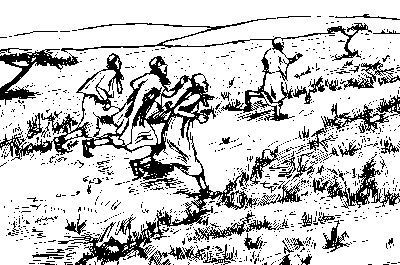 Enkukuu naibor