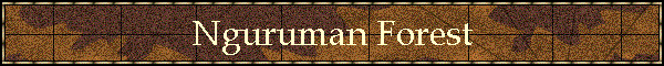 forest.gif (13479 bytes)