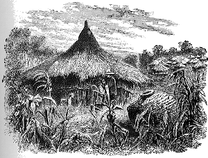Teita Hut.