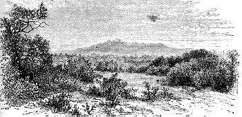 Donyo Longonot from G. Kedong.