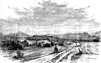 Firewood Plain (Angata Elgeek) from Kekup�.
