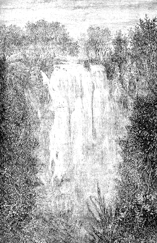 Image536.gif (210878 bytes)