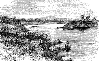 R. Nzoia Seremba, with School of Hippos.