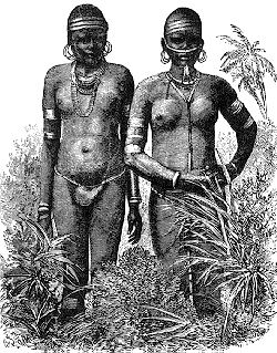 Daughters of the Chief of Massala.