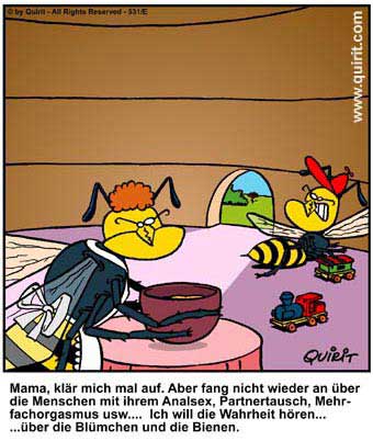 blommor&bin
