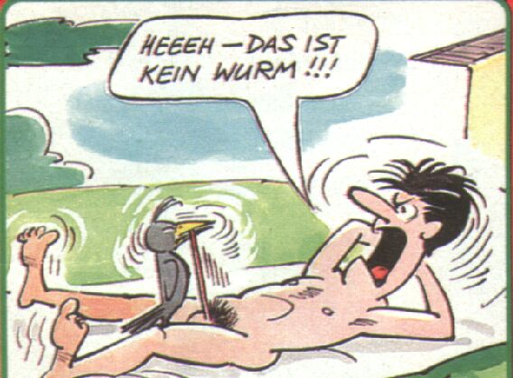 der kleine Freund