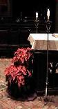 Altar Sacred Heart at Christmas