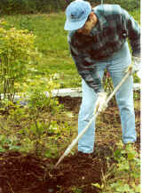 United_Way_Day_of_Caring.jpg (94283 bytes)
