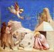 giotto.jpg (2727 byte)