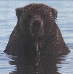 From the deep...
