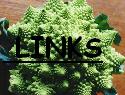 RAVER BROCCOLI