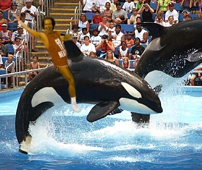 You should see him ride a dolphin. . .