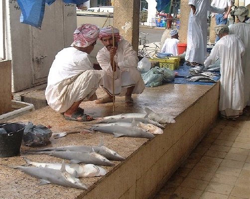 Two Omani men (fishermen?) squatting by sharks at the Sinaw souq.