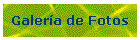 Galer�a de Fotos
