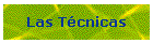 Las T�cnicas