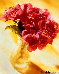 Nice Vase