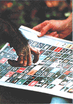 No larynx? No problem,use sign language