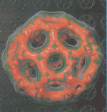 Electron Density Map