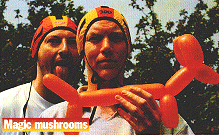 Not mushroom for improvement:Liberty and justice for all